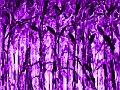 abstrakt (75)